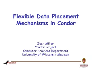 Flexible Data Placement Mechanisms in Condor