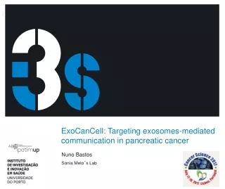 ExoCanCell: Targeting exosomes-mediated communication in pancreatic cancer