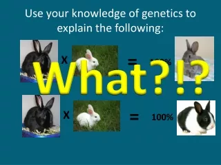 Use your knowledge of genetics to explain the following: