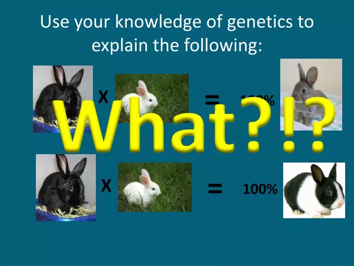 use your knowledge of genetics to explain the following