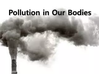 Pollution in Our Bodies