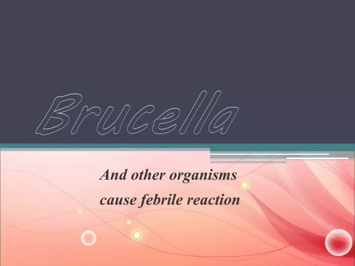 brucella