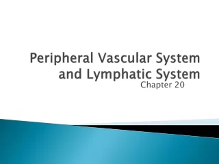 Peripheral Vascular System  and Lymphatic System