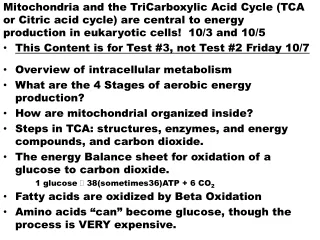 This Content is for Test #3, not Test #2 Friday 10/7 Overview of intracellular metabolism