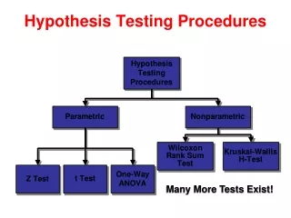Hypothesis Testing Procedures