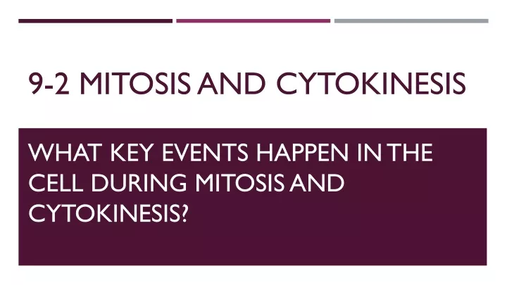 9 2 mitosis and cytokinesis
