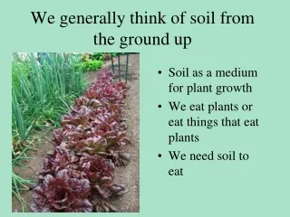We generally think of soil from the ground up
