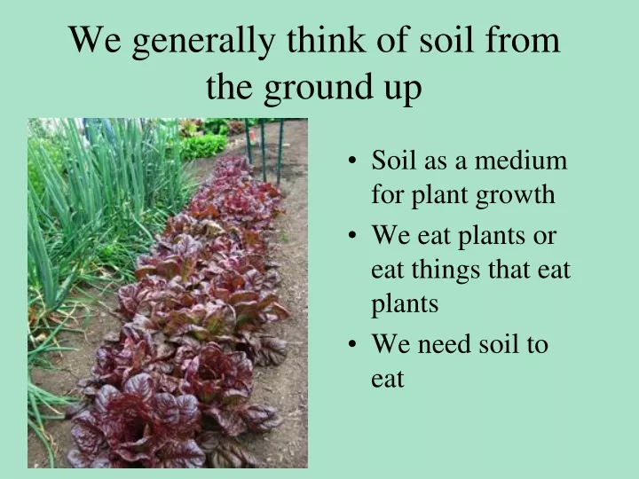 we generally think of soil from the ground up
