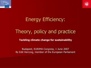 Energy Efficiency: Theory, policy and practice