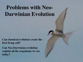 Problems with Neo-Darwinian Evolution