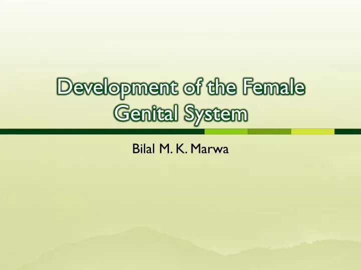 development of the female genital system