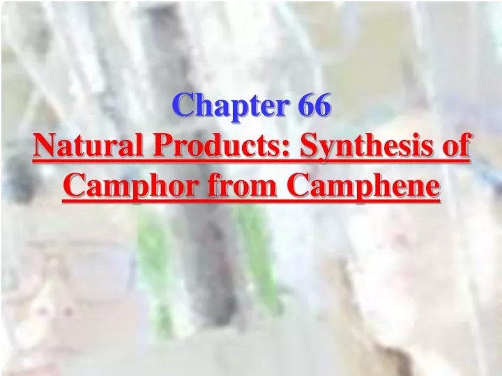 chapter 66 natural products synthesis of camphor
