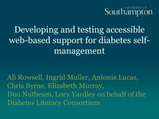 Developing and testing accessible web-based support for diabetes self-management