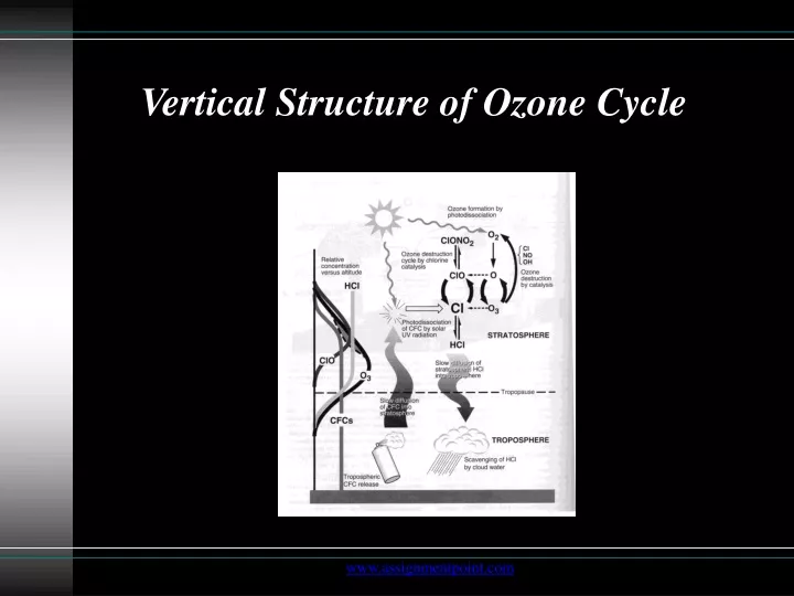 vertical structure of ozone cycle