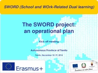 The SWORD project:  an operational plan