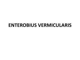 ENTEROBIUS VERMICULARIS