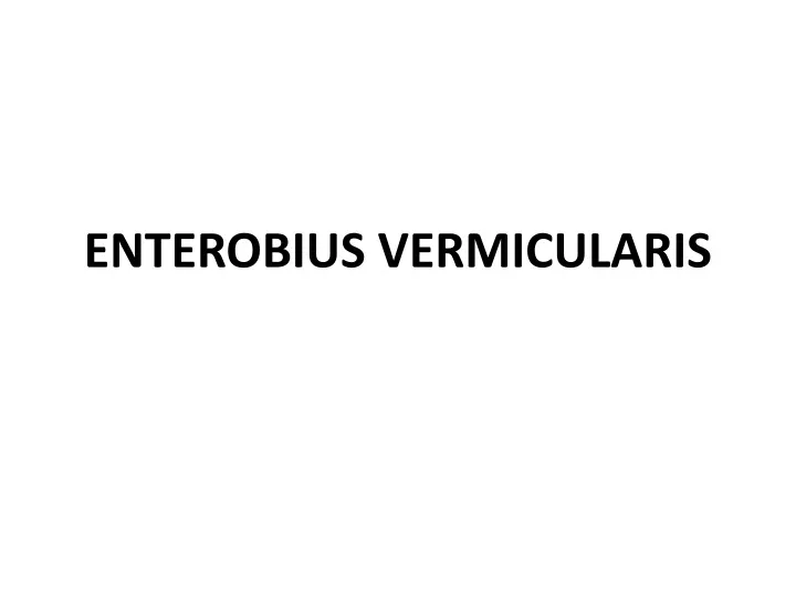 enterobius vermicularis