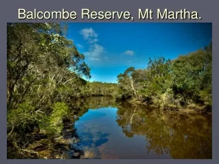 Balcombe Reserve, Mt Martha.