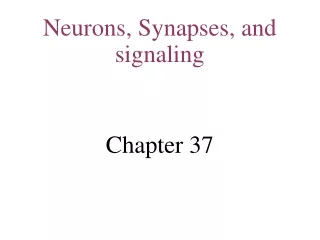 Neurons, Synapses, and signaling Chapter 37
