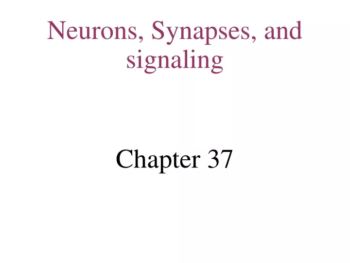 neurons synapses and signaling chapter 37