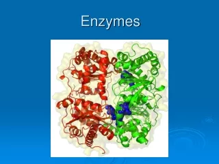 Enzymes