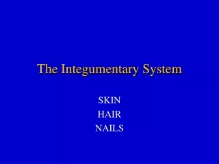 The  Integumentary  System