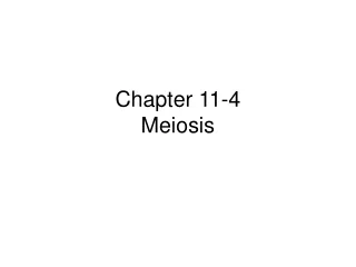 Chapter 11-4  Meiosis