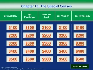 Chapter 15: The Special Senses