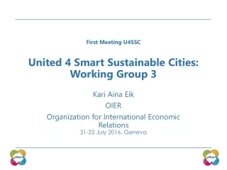 United 4 Smart Sustainable Cities:  Working Group 3