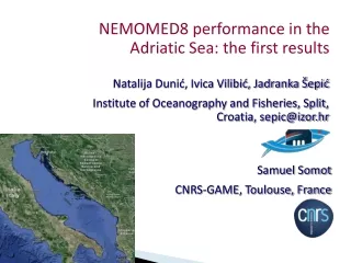 NEMOMED8 performance in the Adriatic Sea: the first results