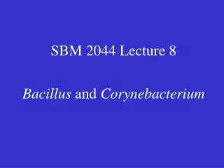 SBM 2044 Lecture 8 Bacillus  and  Corynebacterium