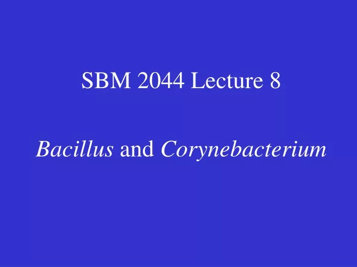 sbm 2044 lecture 8 bacillus and corynebacterium