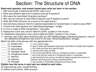 Section: The Structure of DNA