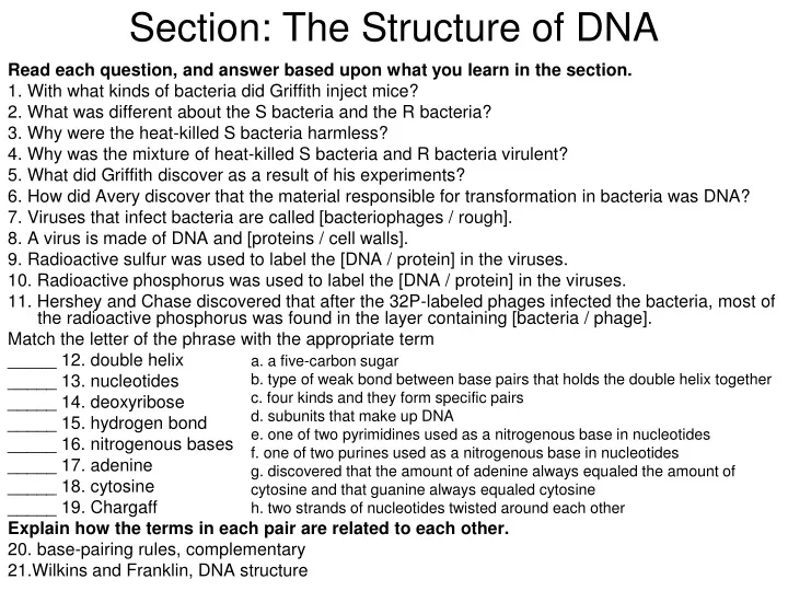 section the structure of dna
