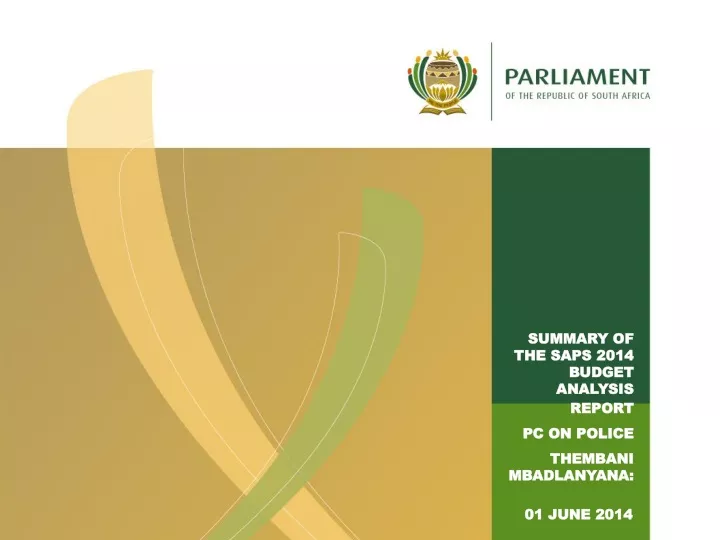 summary of the saps 2014 budget analysis report