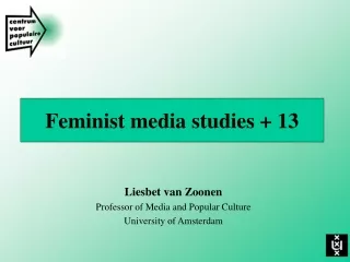 Feminist media studies + 13