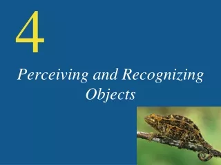 Perceiving and Recognizing Objects
