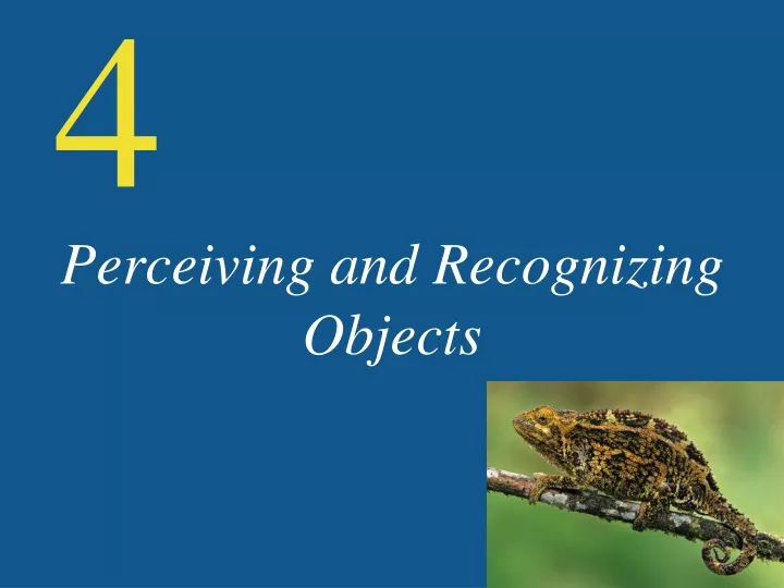 perceiving and recognizing objects
