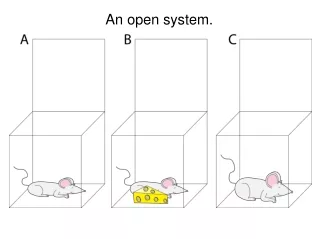 An open system.