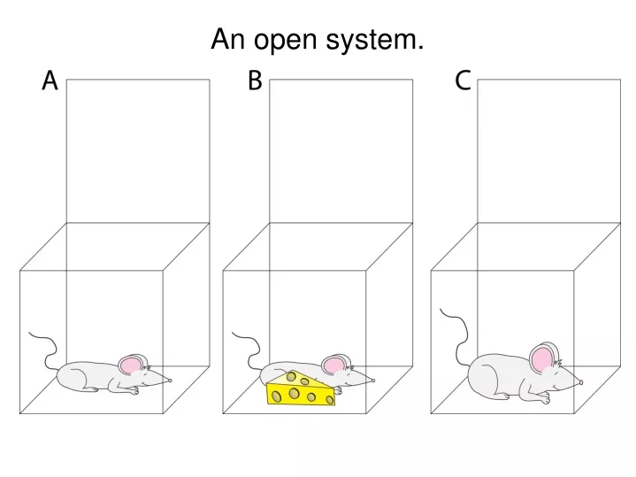 an open system