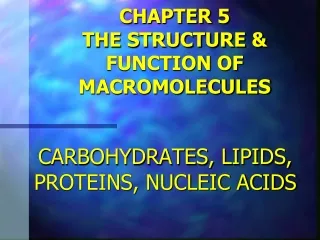 CHAPTER 5 THE STRUCTURE &amp; FUNCTION OF MACROMOLECULES