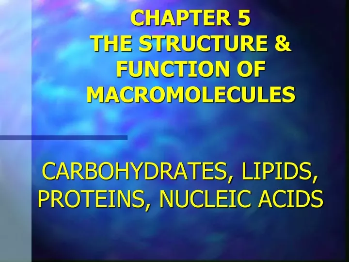 chapter 5 the structure function of macromolecules