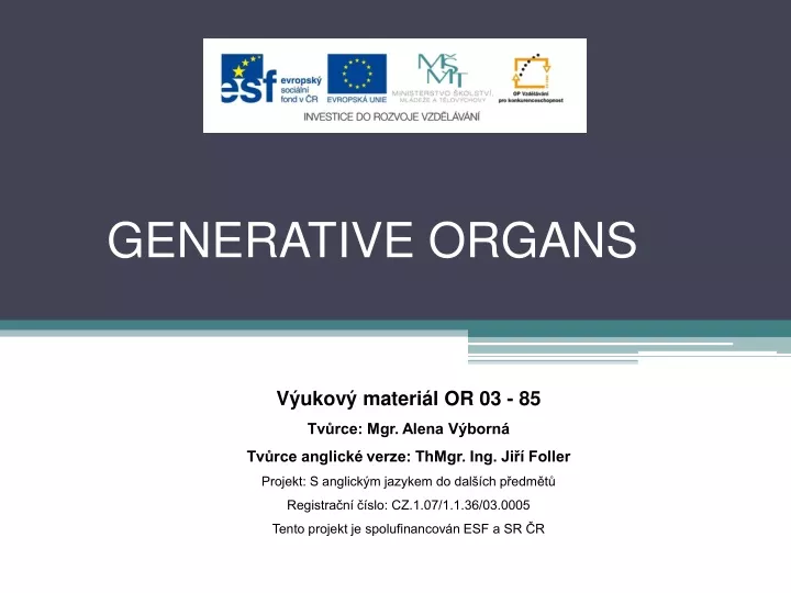 generative organs