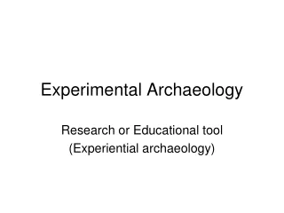 Experimental Archaeology