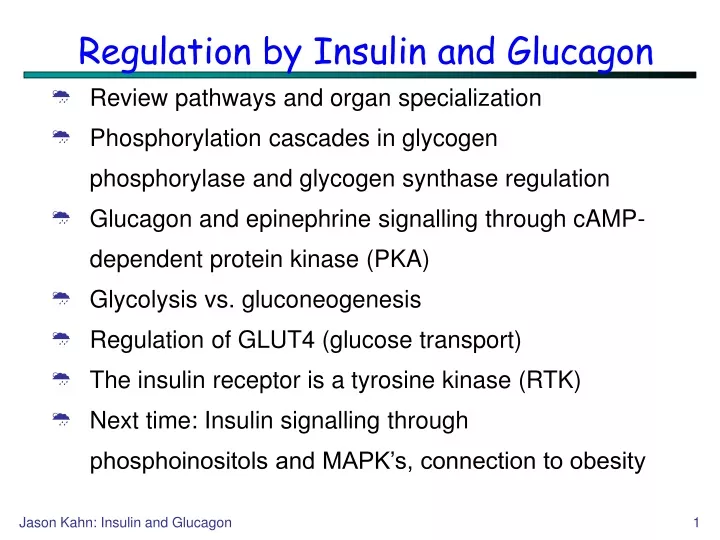 regulation by insulin and glucagon