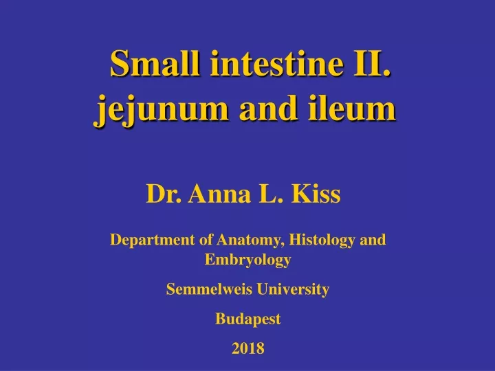 small intestine ii jejunum and ileum