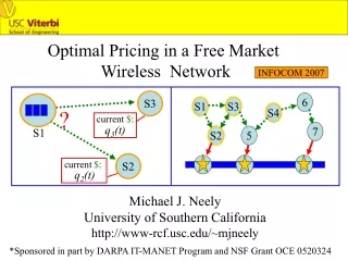 Optimal Pricing in a Free Market  Wireless  Network