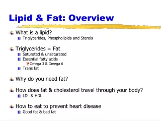 lipid fat overview