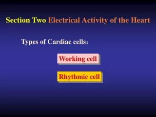 Section Two  Electrical Activity of the Heart