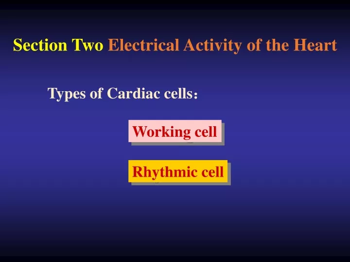 section two electrical activity of the heart